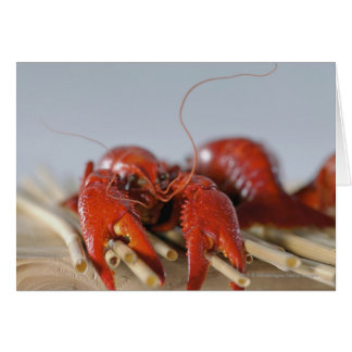 棒のカニのクローズアップ