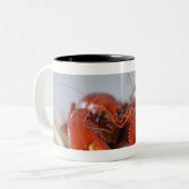 棒のカニのクローズアップ ツートーンマグカップ (正面左)