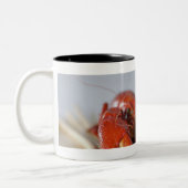 棒のカニのクローズアップ ツートーンマグカップ (左)