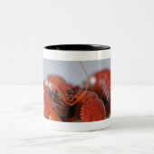 棒のカニのクローズアップ ツートーンマグカップ (中央)