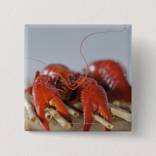 棒のカニのクローズアップ 缶バッジ (正面)