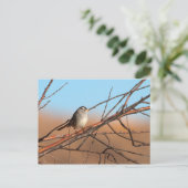 棒の上の白い冠のついた雀 ポストカード (スタンド正面)