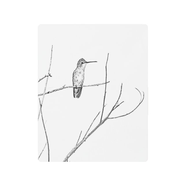 棒の単にハチドリ メタルプリント (正面)