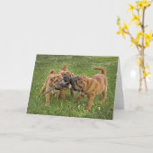 棒の挨拶状を持つShar-Peiの子犬 カード (黄色い花)