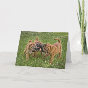 棒の挨拶状を持つShar-Peiの子犬 カード