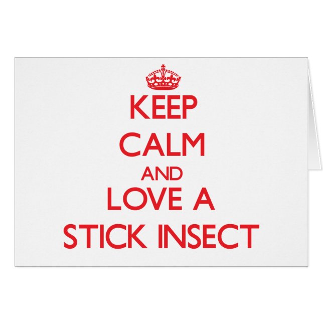 棒昆虫 (正面横)