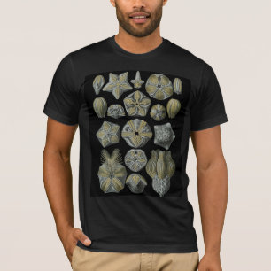 棘皮動物 Tシャツ