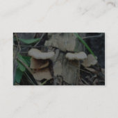 棚のきのこ 名刺 (裏面)