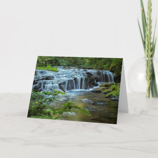 棚の滝4 カード (正面)