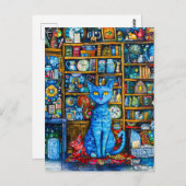 棚上げカラフル猫 ポストカード (正面/裏面)