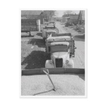 棚付きトウモロコシの負荷