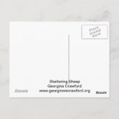 棚入れ羊はがき ポストカード (裏面)