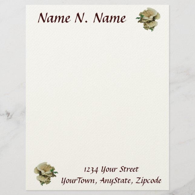 棚淡い色の真菌コーディネート項目letterhead レターヘッド (正面)
