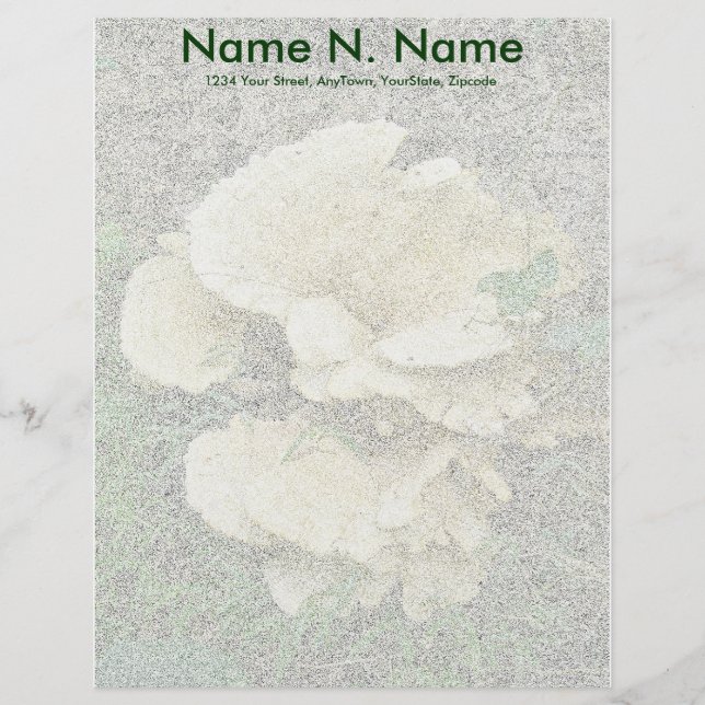 棚淡い色の真菌コーディネート項目letterhead レターヘッド (正面)