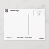 棚淡い色の菌調整品目 ポストカード (裏面)