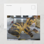 棚猫 ポストカード (正面/裏面)