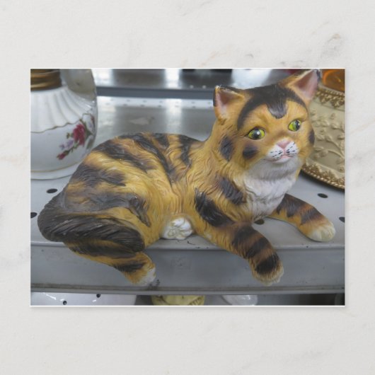 棚猫 ポストカード (正面)