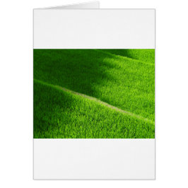 棚田の田んぼ日本