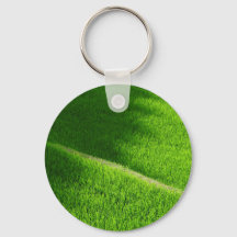 棚田の田んぼ日本