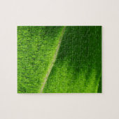 棚田の田んぼ日本 ジグソーパズル (横)