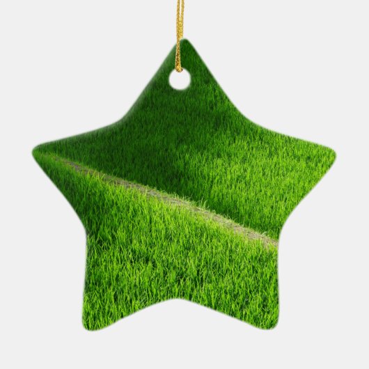 棚田の田んぼ日本 セラミックオーナメント (正面)