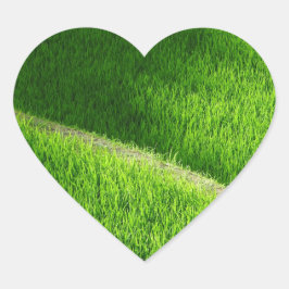 棚田の田んぼ日本 ハートシール