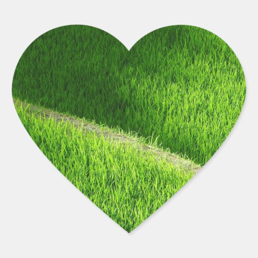 棚田の田んぼ日本 ハートシール (正面)