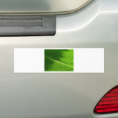 棚田の田んぼ日本 バンパーステッカー (車上)