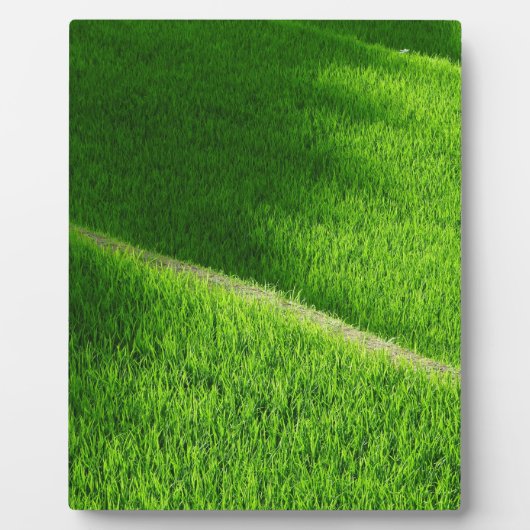 棚田の田んぼ日本 フォトプラーク (正面)