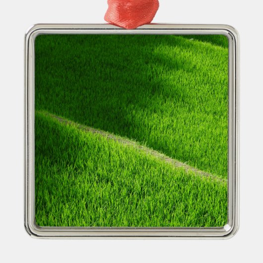 棚田の田んぼ日本 メタルオーナメント (正面)