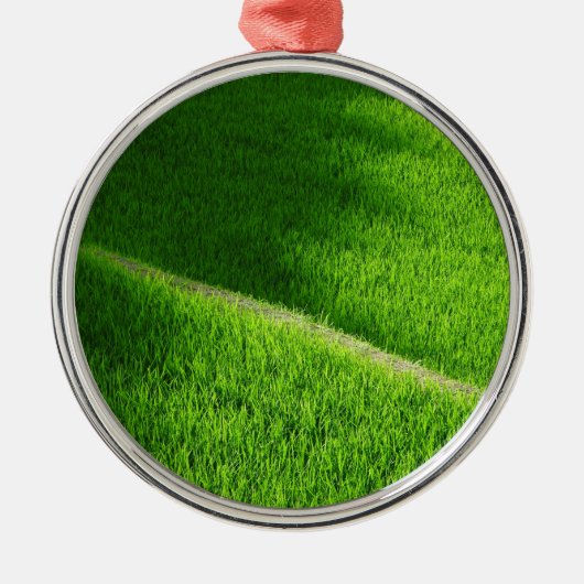 棚田の田んぼ日本 メタルオーナメント (正面)