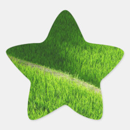 棚田の田んぼ日本 星シール