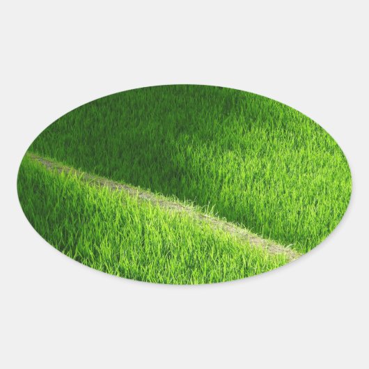 棚田の田んぼ日本 楕円形シール (正面)