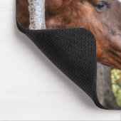 森おもしろいの中の栗の石と馬の写真 マウスパッド (コーナー)