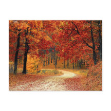 森かわいらし葉書