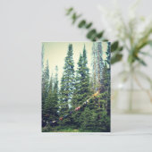 森ではブラは入れない ポストカード (スタンド正面)