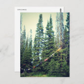 森ではブラは入れない ポストカード (正面/裏面)