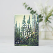 森ではブラは入れない ポストカード (スタンド正面)