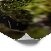 森でキノコを育てる ポスター (角)