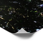 森で大きな木を探す – ポスター (角)