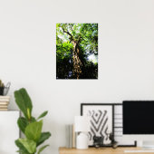 森で大きな木を探す – ポスター (ホームオフィス)