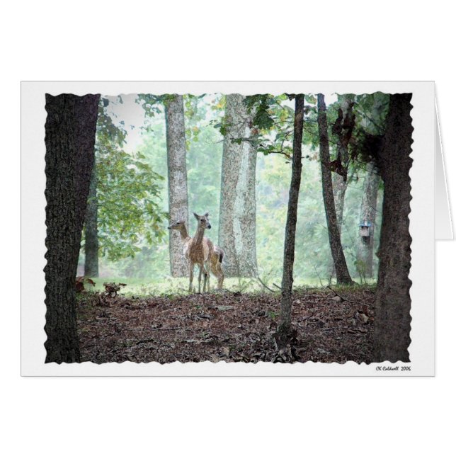 森で遊ぶこと (正面横)