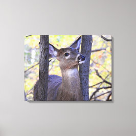 森で鹿が会う キャンバスプリント