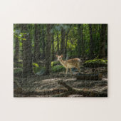 森で ジグソーパズル (横)