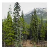 森と山の風景 ポスター (正面)