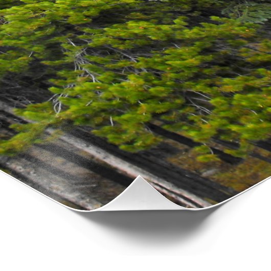 森と山の風景 ポスター (コーナー)