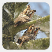 森に二羽のフクロウ、鳥、野生生物 スクエア スティック スクエアシール (正面)