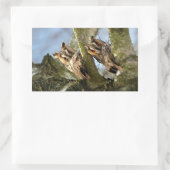 森に二羽のフクロウ、鳥、野生生物　長方形 長方形シール (バッグ)