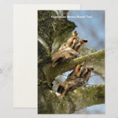 森に住む２羽のフクロウ、鳥、野生生物 便箋 (正面/裏面)