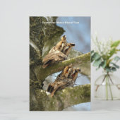 森に住む２羽のフクロウ、鳥、野生生物 便箋 (スタンド正面)